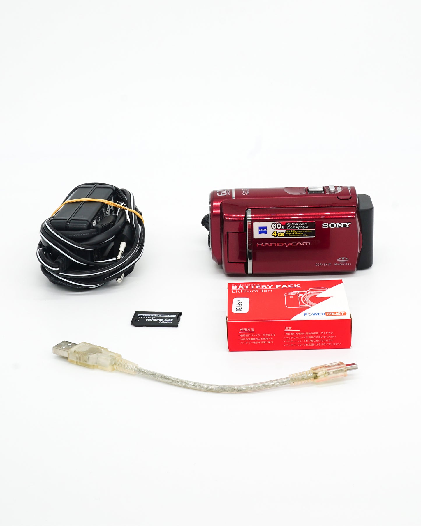 Sony DCR-SX30E